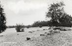 Bakkeveen   Duinen, Verzamelen, Ansichtkaarten | Nederland, Verzenden, 1960 tot 1980, Gelopen, Friesland