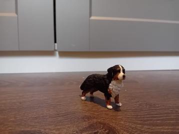 Schleigh hond beschikbaar voor biedingen