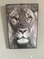 Canvas leeuw, Huis en Inrichting, Woonaccessoires | Schilderijen, Tekeningen en Foto's, Ophalen, Minder dan 50 cm, Nieuw, Foto of Poster