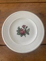 Wedgewood moss rose, Ophalen of Verzenden