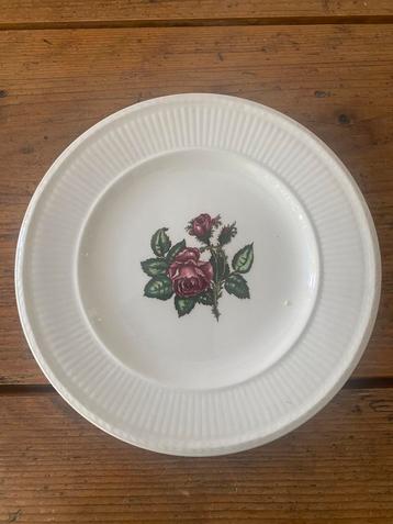 Wedgewood moss rose beschikbaar voor biedingen