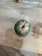 Polijstbuf polijstschrijven, Ophalen of Verzenden, Zo goed als nieuw