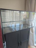 Groot terrarium . Mag weg voor 20 euro, Ophalen, Gebruikt, Terrarium of Paludarium