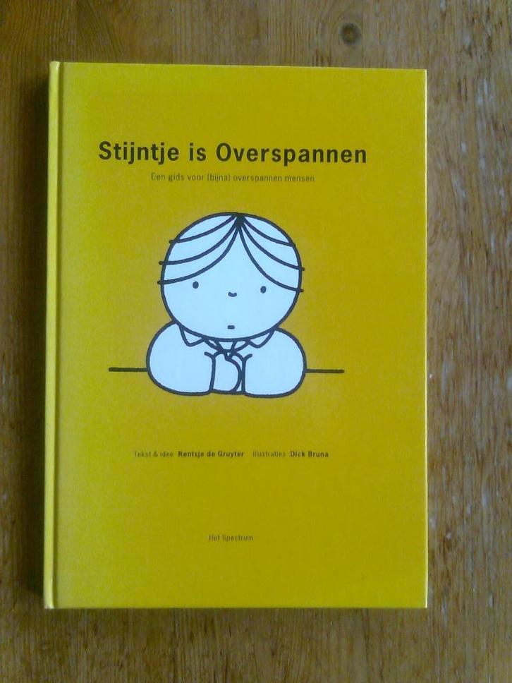 Stijntje is overspannen, een gids voor overspannen mensen, Boeken, Psychologie, Ophalen of Verzenden