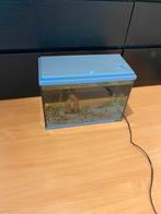 Aquarium gloed nieuw, Dieren en Toebehoren, Ophalen of Verzenden