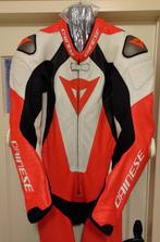 Prachtige Laguna Seca 5 Overall (motorpak), Dainese, Heren, Ophalen of Verzenden, Overall