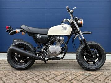 Honda APE 50 PGM-FI | 2009 | JDM | NL Kenteken | 636km beschikbaar voor biedingen