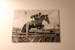 Z/w Paarden Postkaart - H.G.Winkler op de beroemde Halla, Verzamelen, Ansichtkaarten | Dieren, 1940 tot 1960, Paard, Ongelopen