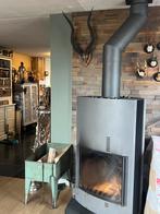 MOOIE KOEDU SCHEDEL & HOORNS, Ophalen, Gebruikt, Wild dier, Schedel