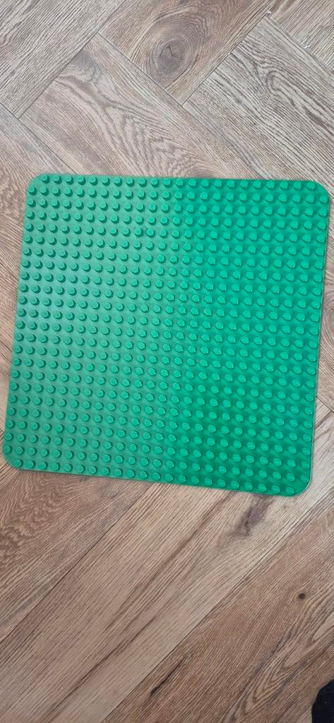 Lego Duplo Set: Frozen Kasteel & Wilde Dieren, Kinderen en Baby's, Speelgoed | Duplo en Lego, Ophalen of Verzenden, Gebruikt, Complete set