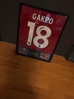 Gesigneerd shirt Cody Gakpo (ingelijst), Ophalen of Verzenden, Nieuw, Shirt