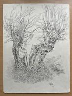 Gerard van de Weerd (1952-2022) tekening boom, Ophalen of Verzenden