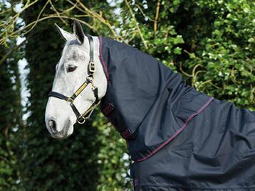 Amigo Bravo 12 Hood XL, 0 gram, Losse hals, maat S, M, L, XL beschikbaar voor biedingen