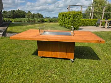 Tuintafel met gashaard 200x100x75cm.  beschikbaar voor biedingen