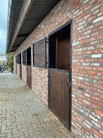 Kleinschalige stalling te huur 2x paard/ pony, Dieren en Toebehoren, Stalling en Weidegang, Weidegang, 2 of 3 paarden of pony's