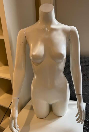 1 dames paspop, torso, buste beschikbaar voor biedingen