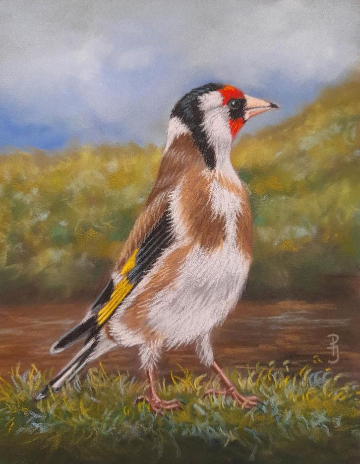 schilderij puttertje 210 met lijst- eigen werk - vogeltjes, Antiek en Kunst, Kunst | Tekeningen en Foto's, Ophalen of Verzenden