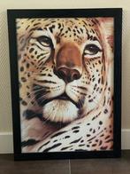 Groot ingelijste poster van een panter luipaard, Ophalen, 125 cm of meer, Zo goed als nieuw, Foto of Poster