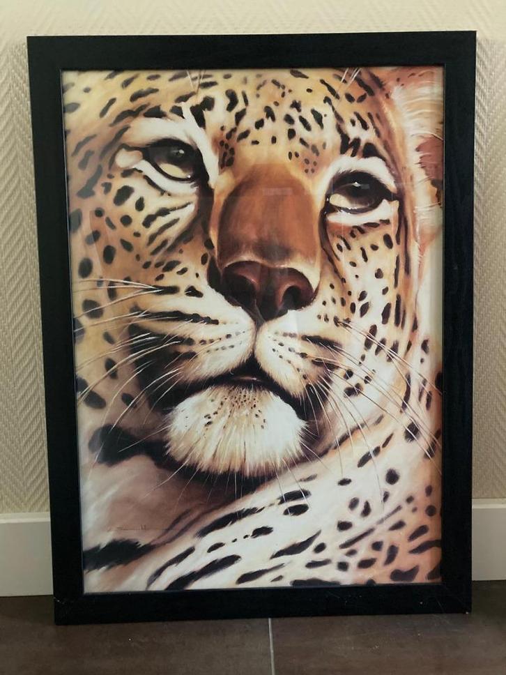 Groot ingelijste poster van een panter luipaard, Huis en Inrichting, Woonaccessoires | Schilderijen, Tekeningen en Foto's, Zo goed als nieuw