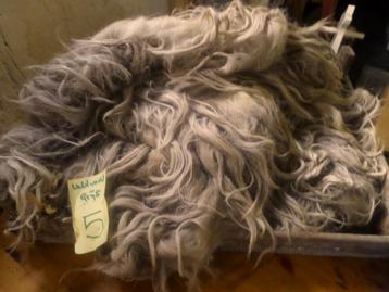 SchapenVachten Vacht vilten los wol Schapenwol Vilt Vachten. beschikbaar voor biedingen