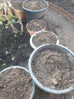 Gratis grond, Ophalen, Tuinaarde