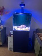 Bluemarine 125L met toebehoren zeeaquarium van 2023, Dieren en Toebehoren, Vissen | Aquaria en Toebehoren, Ophalen, Zo goed als nieuw