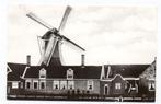 WESTZAAN - Molen - K. Tanger - Reproductie, Verzenden, Ongelopen, Noord-Holland
