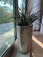 2 Grote Intratuin Potten met Plant - Betonlook, Tuin en Terras, Bloempotten, Rond, Binnen, Zo goed als nieuw, Minder dan 40 cm