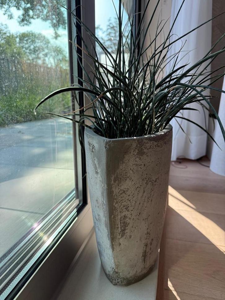 2 Grote Intratuin Potten met Plant - Betonlook, Tuin en Terras, Bloempotten, Zo goed als nieuw, Beton, Binnen, Minder dan 40 cm