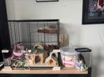 Hamsterkooi 3 verdiepingen, Dieren en Toebehoren, Knaagdieren en Konijnen | Hokken en Kooien, Kooi, Minder dan 75 cm, Zo goed als nieuw