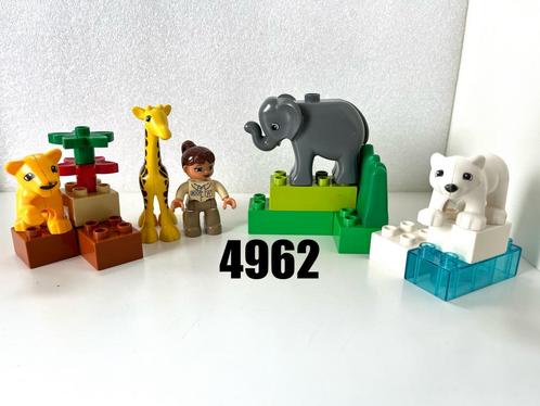 Lego Duplo 4962  -   Baby Dierentuin, Kinderen en Baby's, Speelgoed | Duplo en Lego, Gebruikt, Duplo, Ophalen of Verzenden