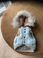 Jasje voor Chihuahua, Ophalen, Zo goed als nieuw, Hondenjas