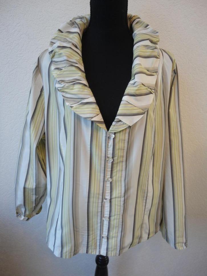 maat 48 oksel tot oksel 66 cm, Kleding | Dames, Grote Maten, Nieuw, Blouse of Tuniek, Ophalen of Verzenden