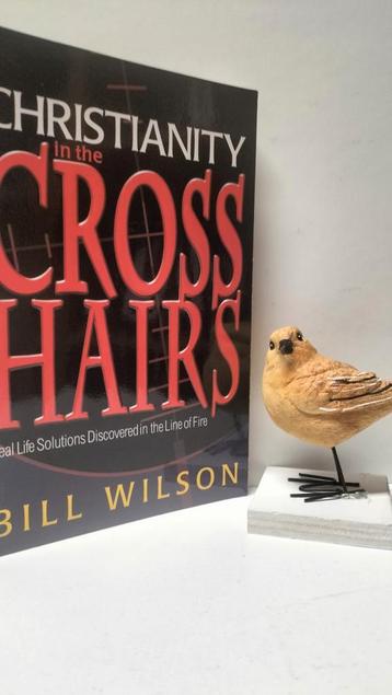 Wilson, Bill; Christianity in the cross hairs   beschikbaar voor biedingen