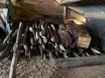 Robinia palen 180cm, Ø 6-8cm, ca. 50 stuks, Ophalen, Gebruikt, Palen, Hardhout
