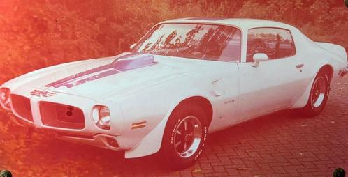 PONTIAC FIREBIRD TRANS AM PRO TOURING PROJECT, Auto's, Oldtimers, Particulier, Pontiac, Benzine, Coupé, Ophalen