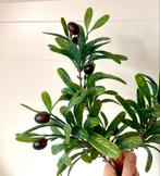 Kunst Olijftak met Olijven, Huis en Inrichting, Woonaccessoires | Kunstplanten en Kunstbloemen, Ophalen of Verzenden, Nieuw, Binnen