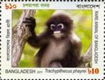 BANGLADESH 15 - Dieren: zoogdieren (langoer), Ophalen of Verzenden, Postfris