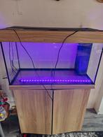 Aquarium met mobiel 125 L, Dieren en Toebehoren, Vissen | Aquariumvissen, Vis