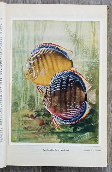 HET AQUARIUM 1949-50 JAARGANG 20 TERRARIUM INSECTARIUM beschikbaar voor biedingen