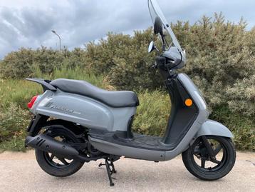 Sym Fiddle 2 , 4 Takt ,Bj 2021, Rijdt Perfect 14380 km beschikbaar voor biedingen