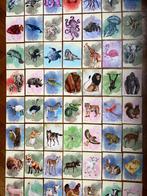 Aquareldieren kinderkamer - set van 65 kunstkaarten A6, Info@olphy.nl, Wandkunstkaarten.nl, Ophalen of Verzenden, Wanddecoratie