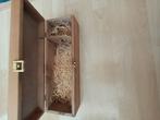 Houten kist..36x12x10h. Wijn kistje. Salentein., Minder dan 50 cm, 50 tot 100 cm, Ophalen of Verzenden, Zo goed als nieuw