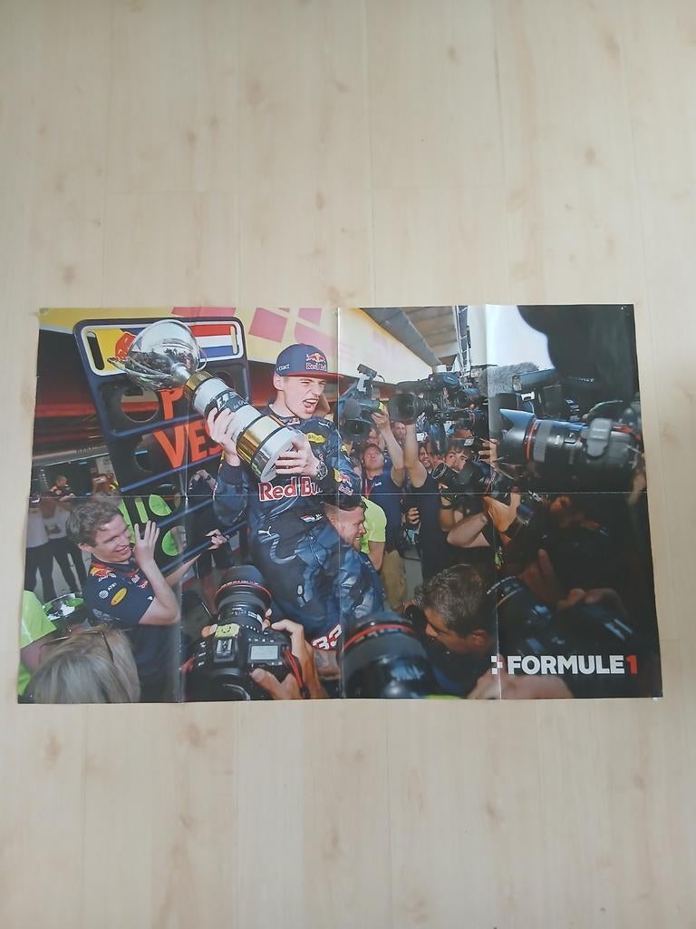 Formule 1 Poster Max Verstappen, Ophalen of Verzenden, Zo goed als nieuw, Formule 1