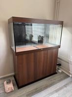 Juwel rio 350 fluval aquasky verlichting, Dieren en Toebehoren, Vissen | Aquaria en Toebehoren, Ophalen, Gebruikt, Leeg aquarium
