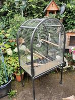 Papagaaienkooi, Dieren en Toebehoren, Vogels | Hokken en Kooien, Ophalen, Zo goed als nieuw, Metaal, Vogelkooi