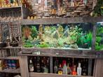 3 x Juwel Aquariums Rio 240 Led verlichting 121x41x50, Dieren en Toebehoren, Vissen | Aquaria en Toebehoren, Ophalen, Zo goed als nieuw