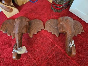 Olifant skull beschikbaar voor biedingen