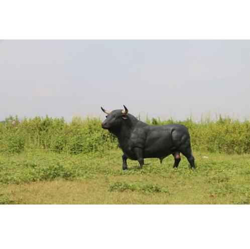 Spanish Fighting Bull beeld - Spaanse Stier Lengte 221 cm, Verzamelen, Dierenverzamelingen, Nieuw, Ophalen