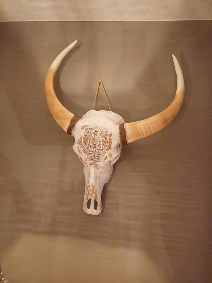 Decoratieve schedel met Boeddha motief, Huis en Inrichting, Woonaccessoires | Wanddecoraties, Zo goed als nieuw, Ophalen